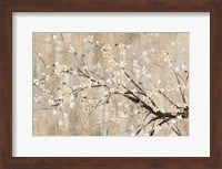 Silver Apple Blooms Fine Art Print