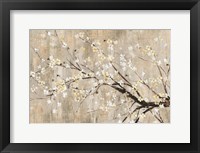 Silver Apple Blooms Fine Art Print