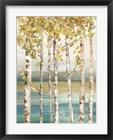 Down by the River I Framed Print