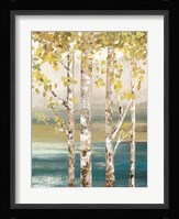 Down by the River II Framed Print