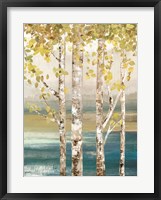 Down by the River II Framed Print
