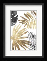 Tropical Palms III Fine Art Print
