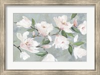 Soft Pink Magnolias Fine Art Print