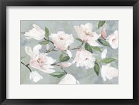 Soft Pink Magnolias Fine Art Print