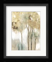 Sapling II Framed Print