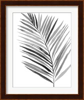 BW Palm IV Fine Art Print