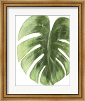 Palm Green I Fine Art Print