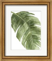 Palm Green II Fine Art Print