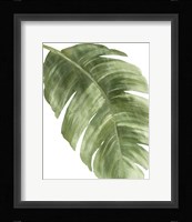 Palm Green II Framed Print