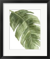 Palm Green II Fine Art Print
