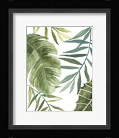 Tropical Mix II Fine Art Print