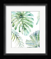 Palm Leaf Variation Fine Art Print