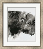Black Bison Fine Art Print