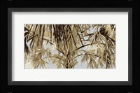 Big Palms Fine Art Print