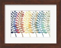 Fresh Ferns Fine Art Print