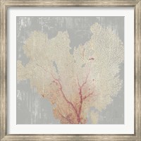 Blush Coral I Fine Art Print