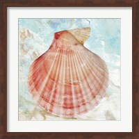 Pink Shell Fine Art Print