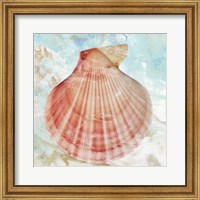 Pink Shell Fine Art Print