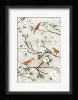 Songs of Blossoms I Framed Print