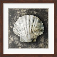Marble Shell Series IV Fine Art Print