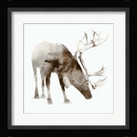 Caribou Framed Print