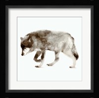 Wolf Framed Print