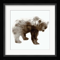 Bear Framed Print