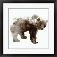 Bear Fine Art Print