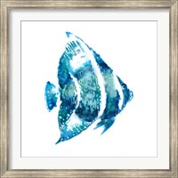 Fish I Fine Art Print