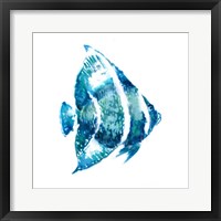 Fish I Fine Art Print