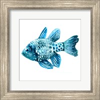 Fish II Fine Art Print