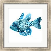 Fish II Fine Art Print