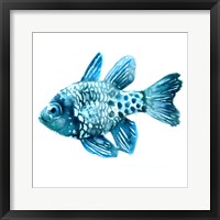 Fish II Fine Art Print