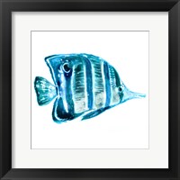Fish III Fine Art Print