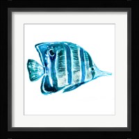 Fish III Framed Print