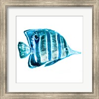 Fish III Fine Art Print