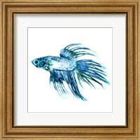 Fish IV Fine Art Print