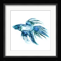 Fish IV Framed Print