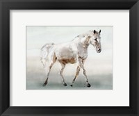White Horse Fine Art Print