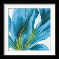 Vedette I Fine Art Print