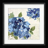 Hampton Hydrangea I Framed Print