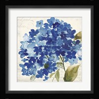 Hampton Hydrangea II Fine Art Print