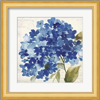 Hampton Hydrangea II Fine Art Print