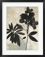 Inky Floral II Framed Print
