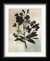 Inky Floral III Framed Print