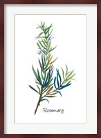 Rosemary I Fine Art Print
