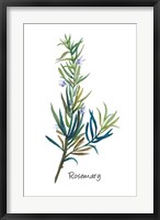 Rosemary I Fine Art Print