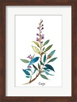 Sage II Fine Art Print