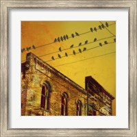 Birds on a Wire I Fine Art Print