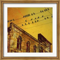 Birds on a Wire I Fine Art Print